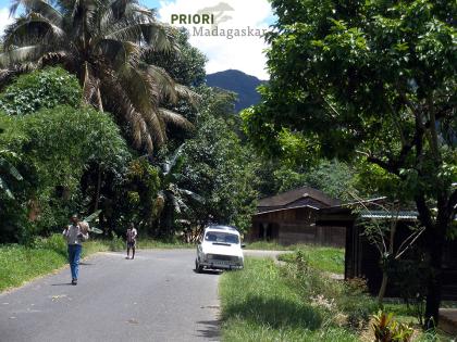Madagaskar Reise SAVA, Vanille und Marojejy-Trekking2021