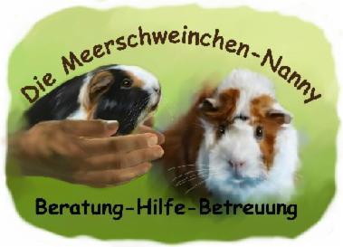 Meerschweinchen-Nanny, private Notstation, Meerschweinchen-Hilfe