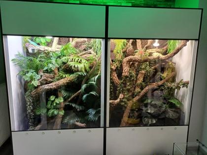 -20% auf Premium Kunststoff Terrarien und Terrarium Racks