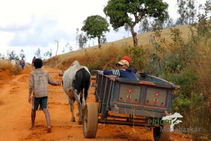 Madagaskar Frauenreise - Von und für Frauen2021