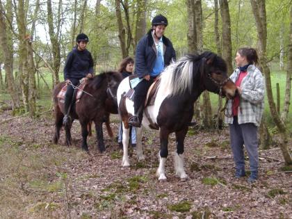 Begegnungen mit kleinen Pferden für Menschen jeden Alters  nahe Tenever