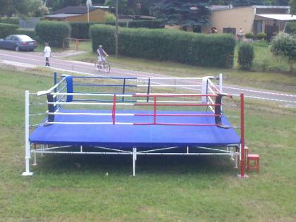 Boxring, Octagon, MMA Käfig, Cage Walls, Kampfsport Equipment, Boxhandschuhe