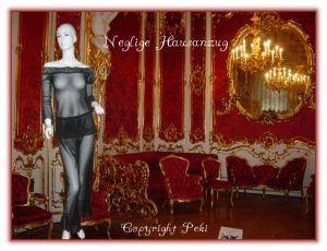 Dessous-und-mode  Traumhaft schöne Dessous und chice Mode 