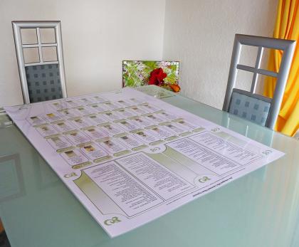 Lehrntafel & Häusertafel Häuser Plätze mit Lenormand Bilder Häuserlegung 8x4 gro