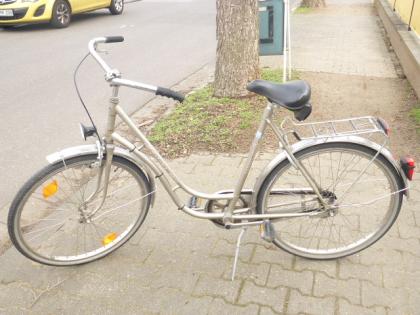 (147) 1 Gang Rücktrittsbremse tiefer Einstieg 26 Zoll Rh 55