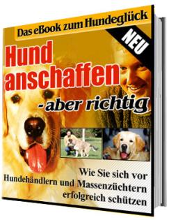  E-Book Hund anschaffen – aber richtig