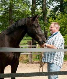 Karrierecoaching mit Pferd (Einzelarbeit)