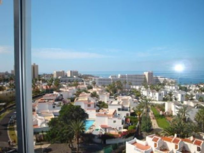 Ferienwohnung Appartment Los Agaves auf Teneriffa