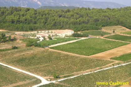 Weingut von 72 Hektar in der Französischen Provence bei Cavaillon