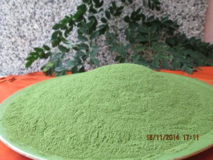 Moringa Pulver 30 kg plus 30 Stück schwarze Seife gratis