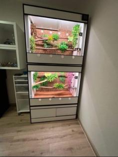 -20% auf Premium Kunststoff Terrarien und Terrarium Racks