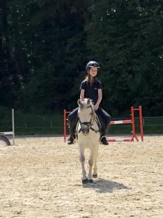 Reitbeteiligung in Wuppertal an einem Freizeitpferd gesucht :)  