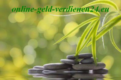 Online PC Nebenjob spart Zeit und lange Wege