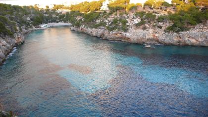 Abnehmcamp auf Mallorca Februar2021