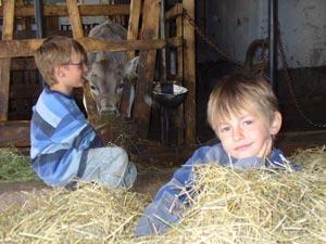 Mooshof - Ihr Ferienbauernhof mitten im Schwarzwald