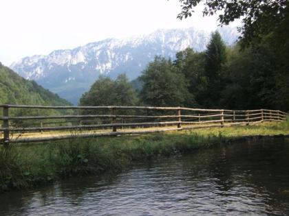 Neues Blockhaus mit 11.000qm Baugrund für Ferienhaussiedlung nahe Nationalpark