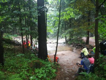 FASTENWANDERN am TEGERNSEE - Bayerische Voralpen - Buchinger oder Rohkost-Fasten