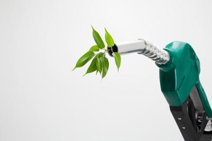 Wir suchen einen investor fuer die produktion von biodiesel.