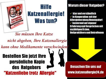  Hilfe Katzenallergie! Was tun?