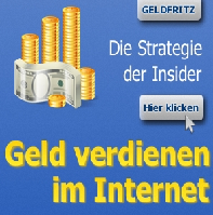 Mit kleinen Nischenwebseiten Geld verdienen.