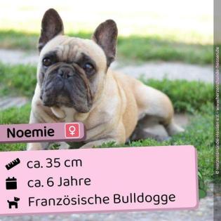 Noemie - total freundlich und sozial, freiatmend