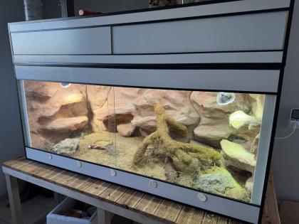 180x80x80 Kunstoffterrarium inkl. Bewohner