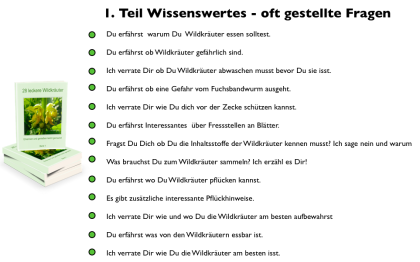Wildkräutersammlung