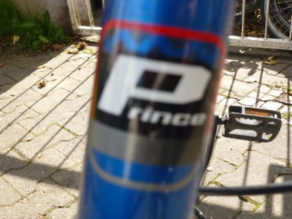 (219) 21 Gang PRINCE ALU-RAHMEN 24 Zoll RH 36