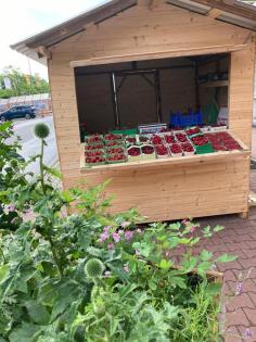Verkaufe frische Süßkirschen und Erdbeeren Täglich frisch aus der Fränkischen Sc