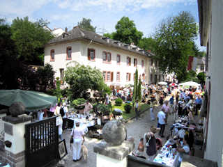 HOFMARKT HAMMERMÜHLE