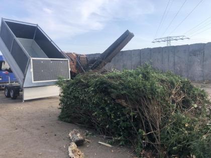 Wurzelfräsen Stubbenfräsen Wurzel Baumwurzel Stubben zu entfernen