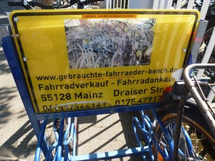(237) 21 Gang 26 Zoll Gabel gefedert mit Nabendynamo