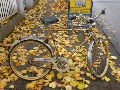 (225) 3 Gang Rücktrittsbremse 26 Zoll Rh 56