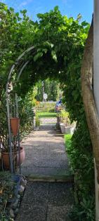 Rosenbogen BARCELONA Pergola Gartenbogen Torbogen Rosensäule