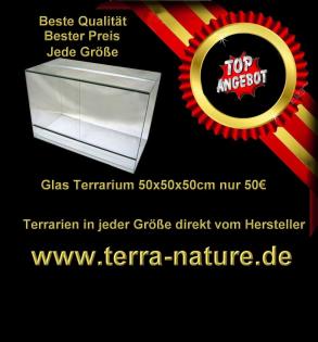 Glas Terrarium 100x50x50 cm nur 80€ in jeder Größe möglich