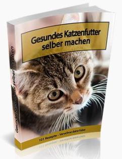 Katzenfutter selber machen, ein Muss für alle Katzenfreunde