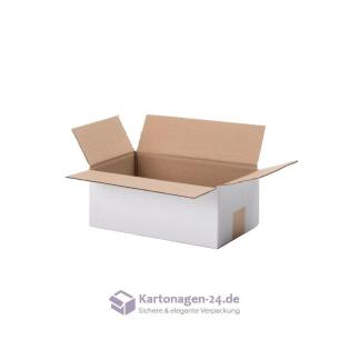 Weisse Kartonagen Karton weiß Hersteller Verpackung 20 St.