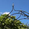 Rosenbogen LOSLAU Pergola Rosen Rankhilfe Torbogen Gartendeko