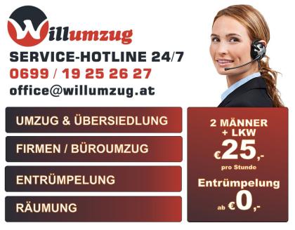 Willumzug Mann+LKW 19,-