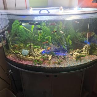 Eckaquarium zu verkaufen