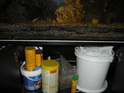     ALLES     100 Liter Aquarium, Unterschrank, Fisch,