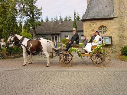 Ungarischer Jagdwagen mit Geschirr und Kummet zu verkaufen