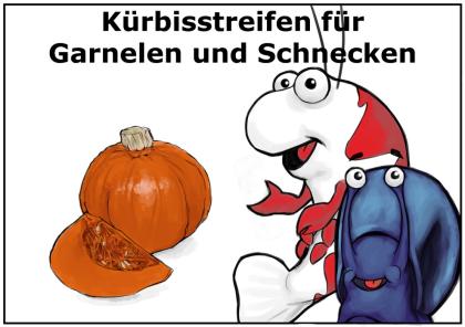   15g Hokkaido - Kürbis - Chips , Futter für Garnelen , Schnecken und Krebse
