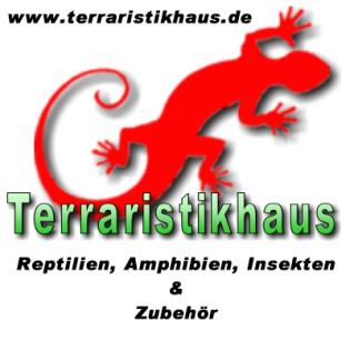 Jungferngeckos, Frösche, Zwergchamäleons