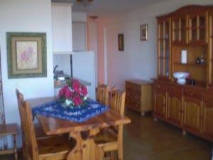 Ferien auf Teneriffa in der Fewo Flamingo