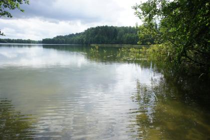 Masurische Seenplatte: Seegrundstück