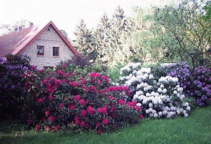 Wohnung / Haus in idyllischer Alleinlage unweit Dümmer See