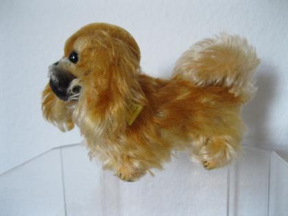 Steiff Pekinese 50er Jahre 