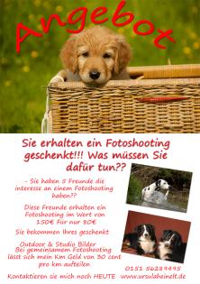 Ihre Chance ein Fotoshooting geschenkt zu bekommen