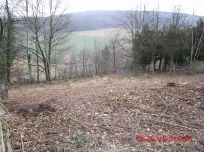 Exkl. Grundstück 960qm im Herrenwäldchen prov.frei zu verkaufen